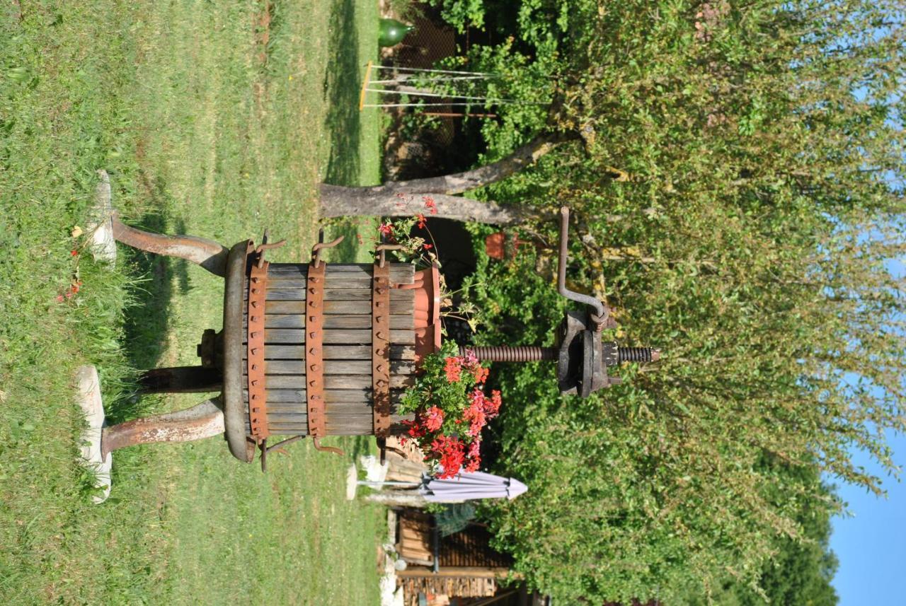 B&B A Casa Di Piero San Massimo  Esterno foto